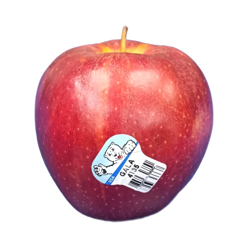 Baby Gala Apple