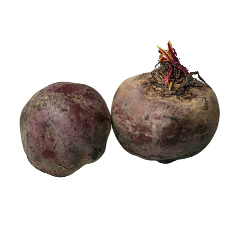 Beets Loose