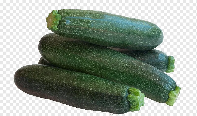 Squash Large