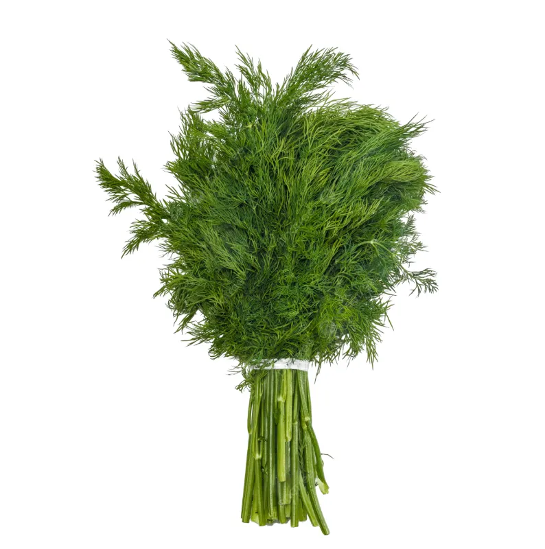 Dill