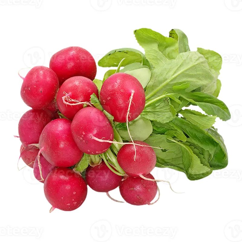 Radish Bunch
