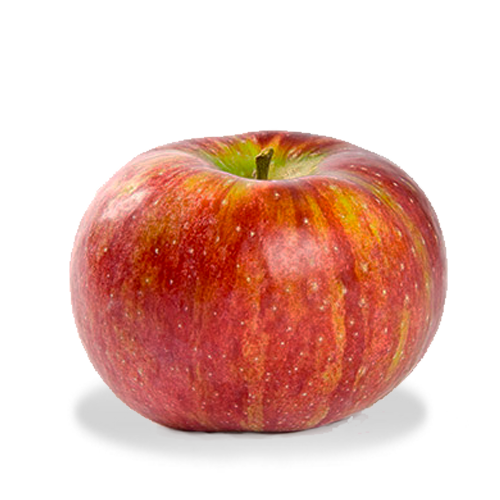 Cortland Apple