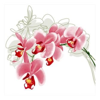 Lunch Napkins Flowers #8