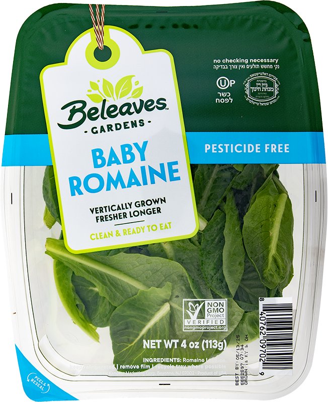 Baby Romaine Lettuce