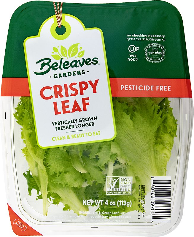 Green Leaf Lettuce