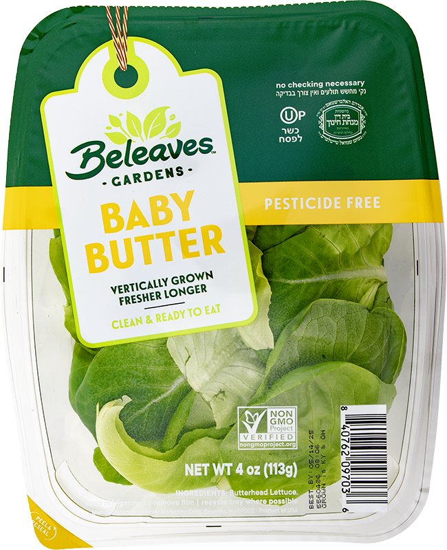 Baby Butter Lettuce