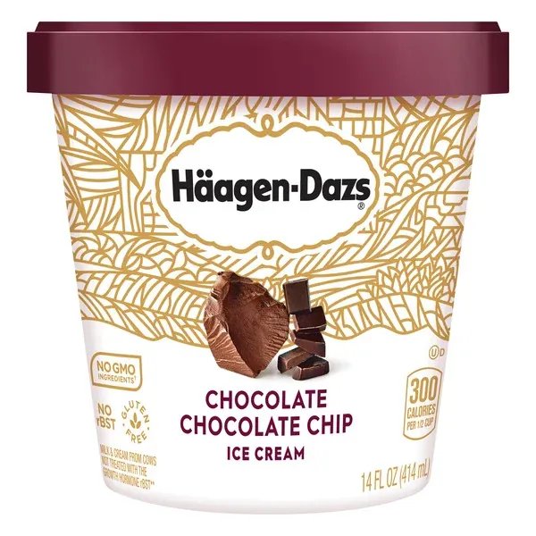 Chocolate Chocolate Chip