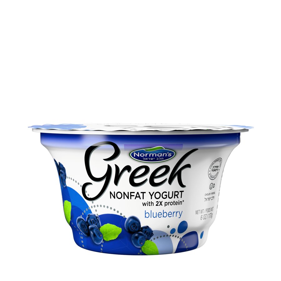 Greek Yogurt Blueberry