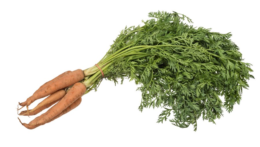 Carrots Loose