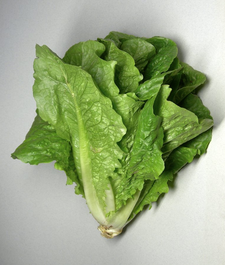 Cut Romaine