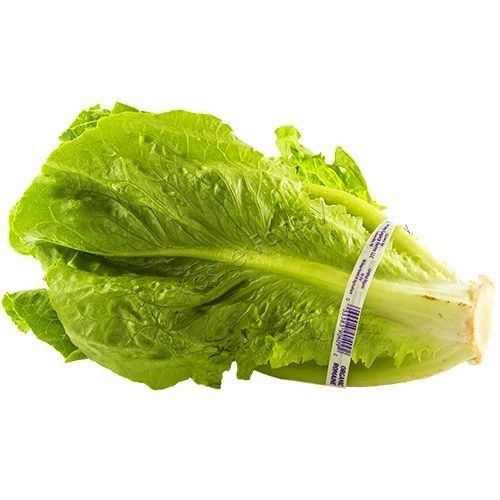 Romaine Head
