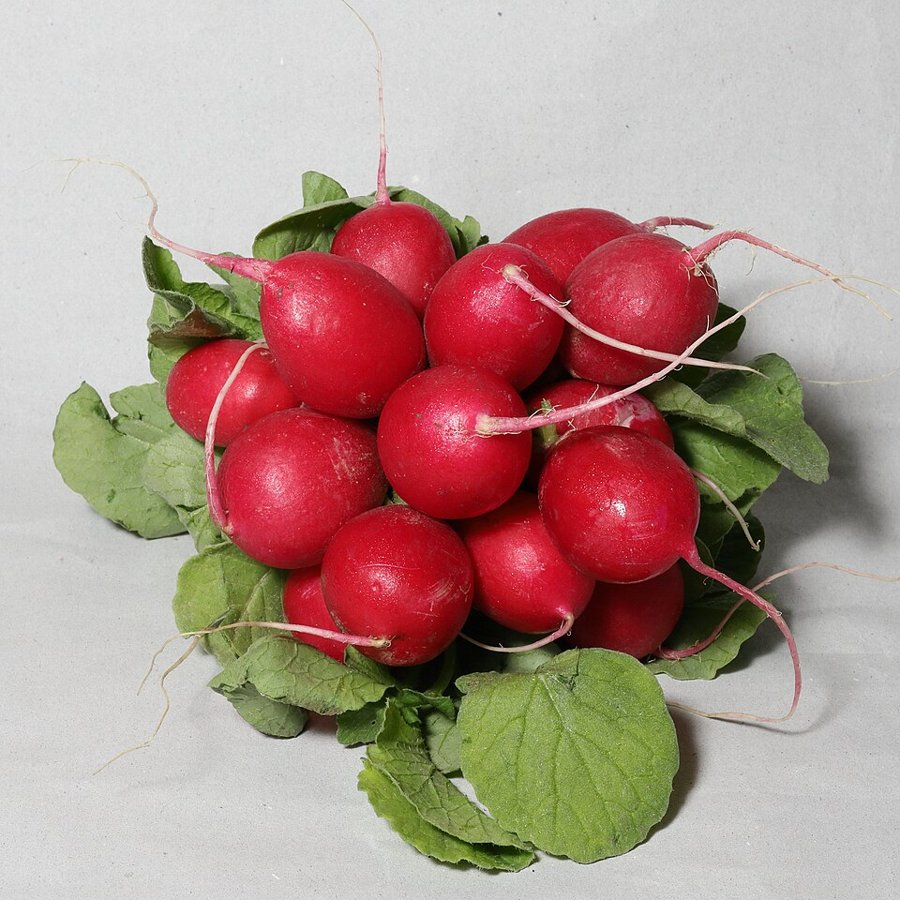 Radish Bunch