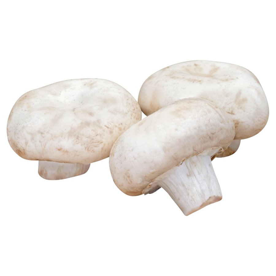 Mushrooms