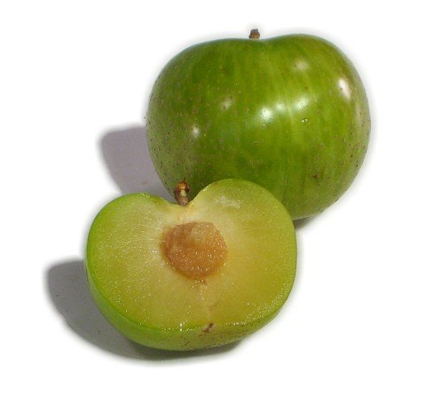 Flavor Queen Plum