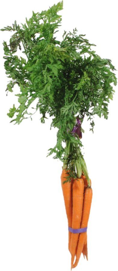 Carrots Bunch