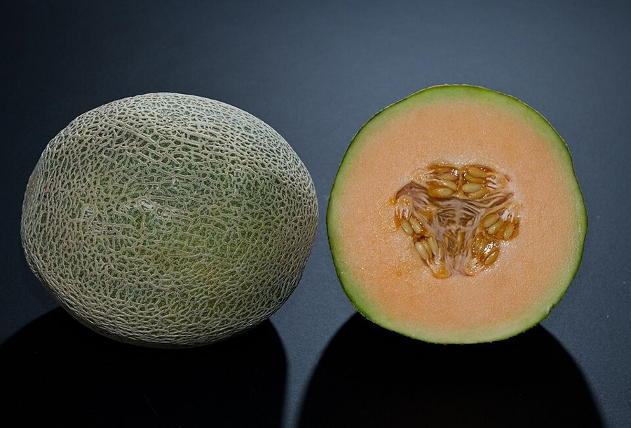 Cantaloupe