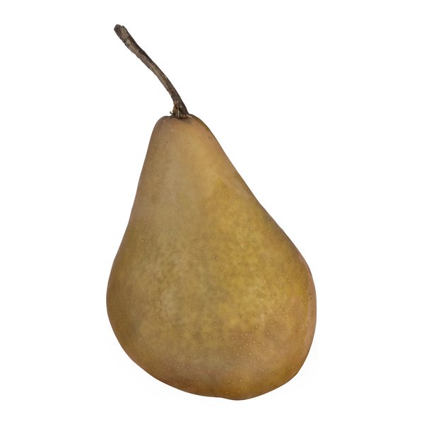 Bosc Pear