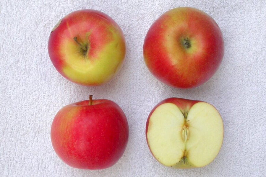 Idared Apple
