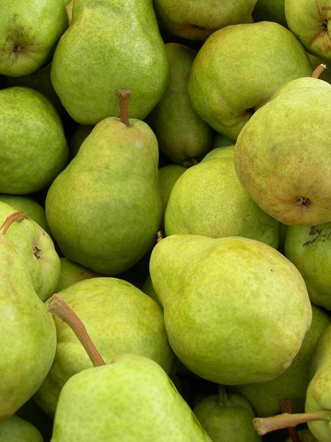 Pear Bartlet