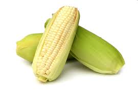 Fresh Corn On The Cob
