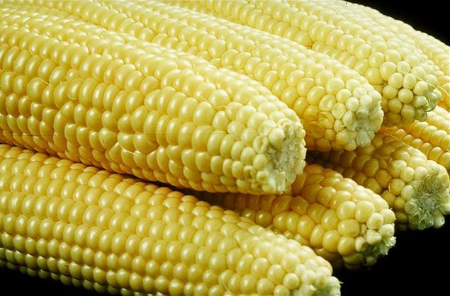 Corn Fresh