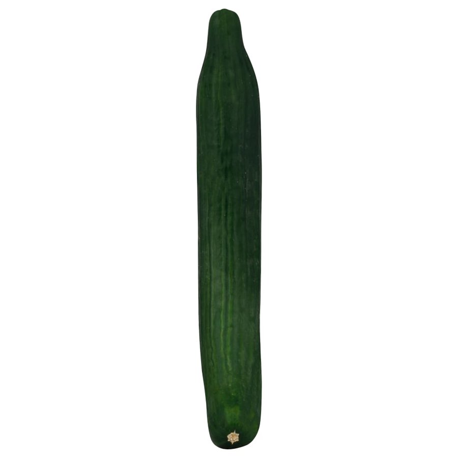Wrapt Cucumber
