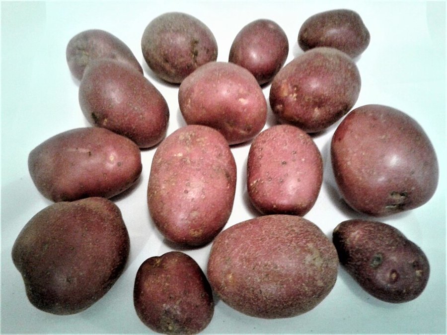 Red Idaho Potatoes