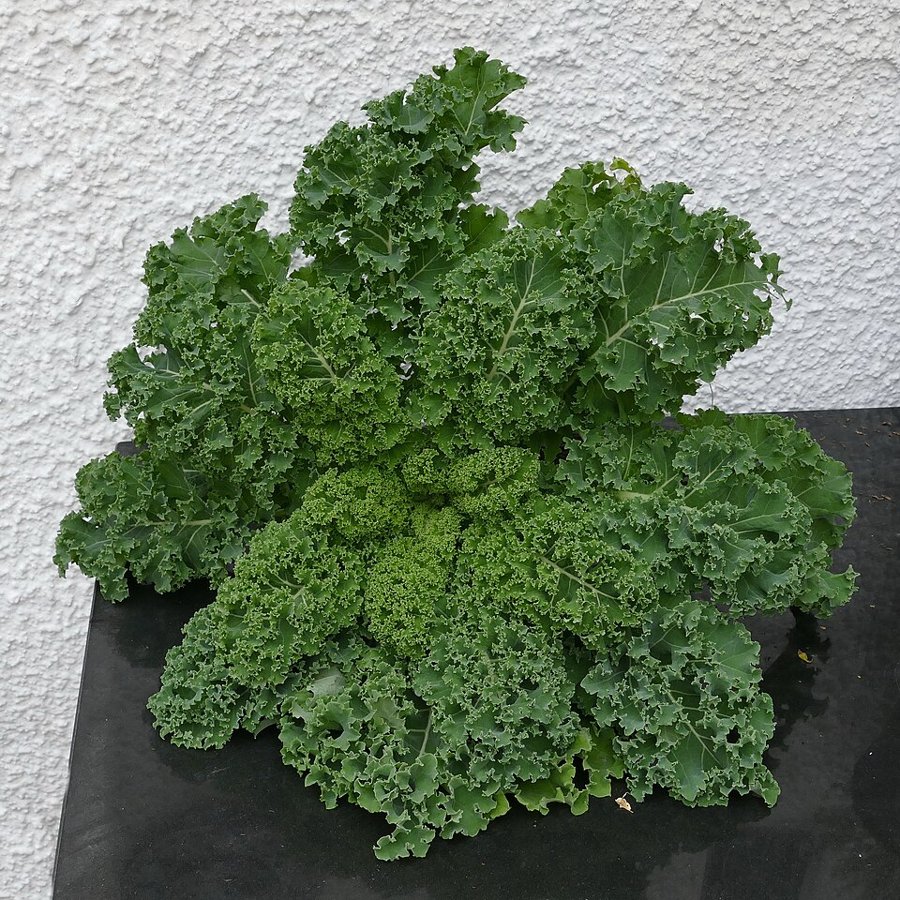 Kale