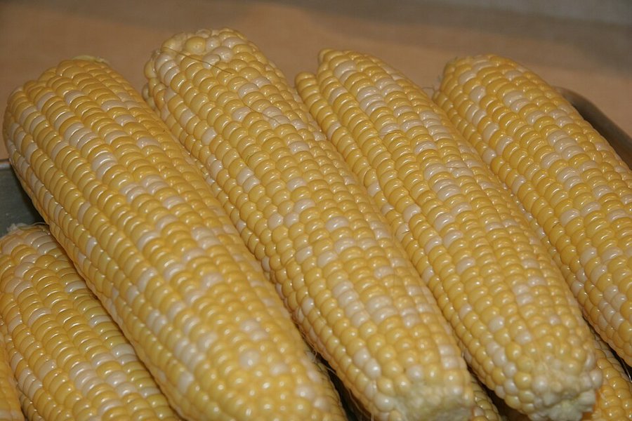 Corn On The Cob