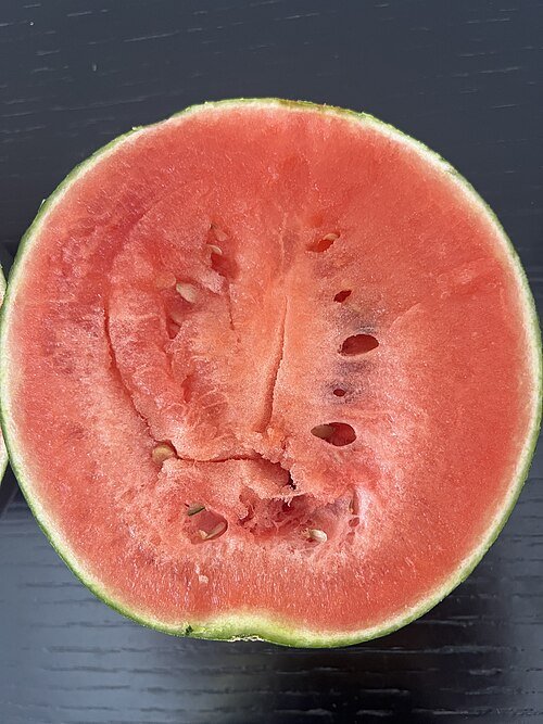 Watermelon Seeds
