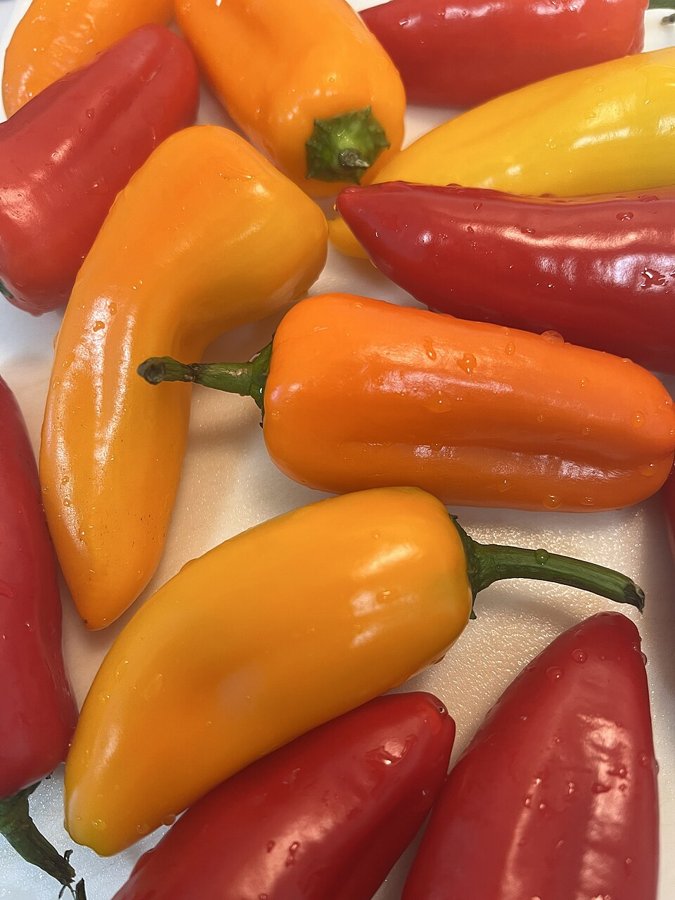 Mini Pepper