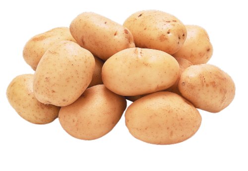 White Potato