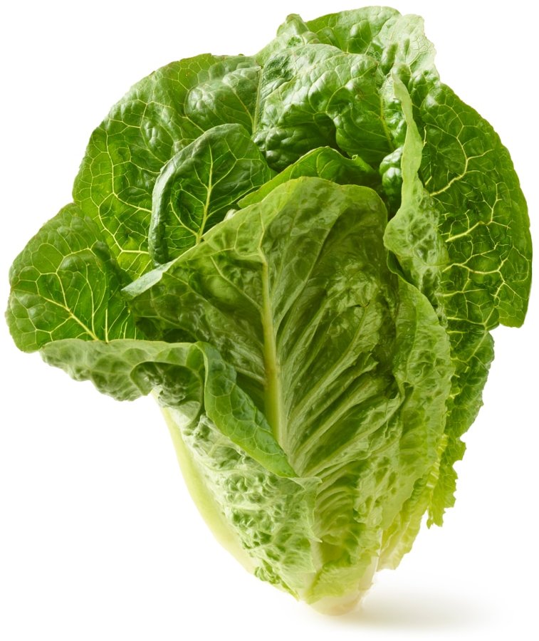 Pos'tiv Romaine