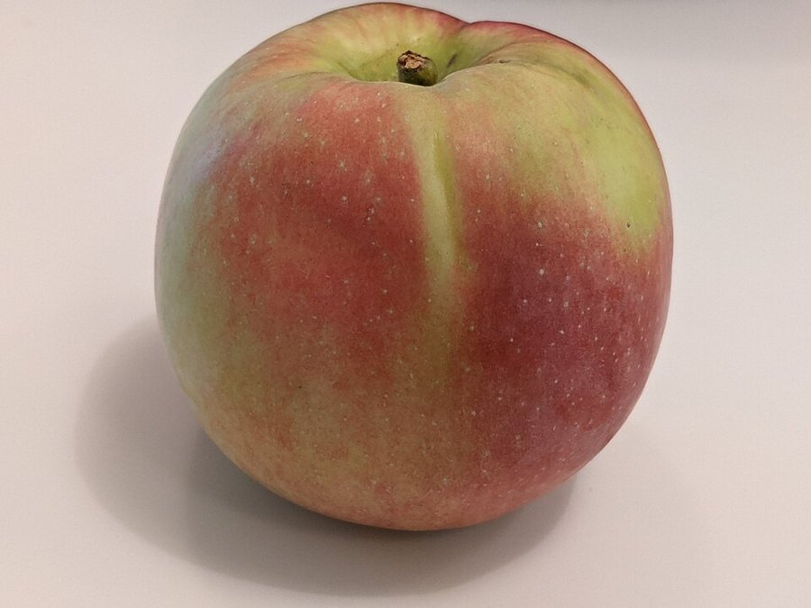Paula Red Apple