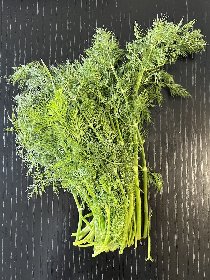 Dill Checked