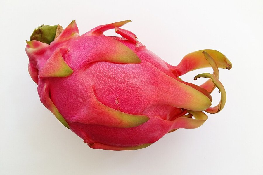 Dragon Fruit