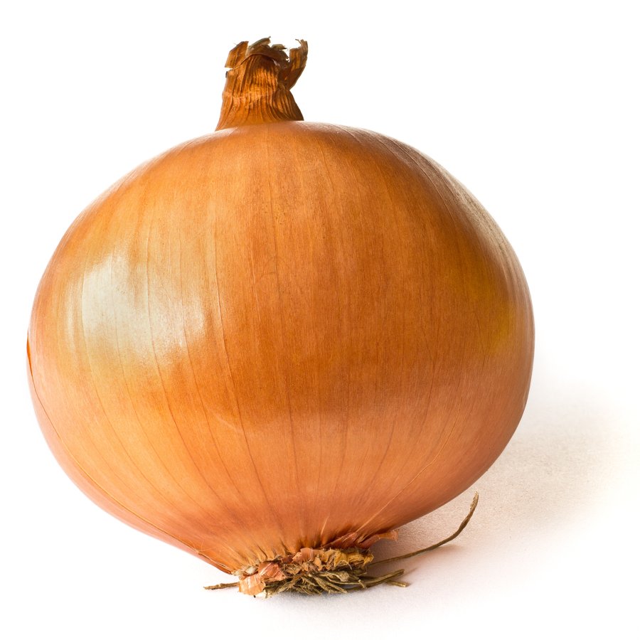 Spanish Onion