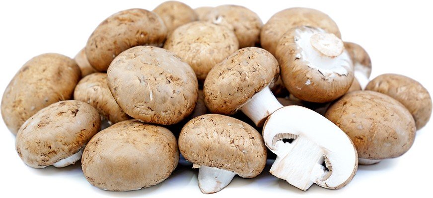 Baby Bella Shrooms