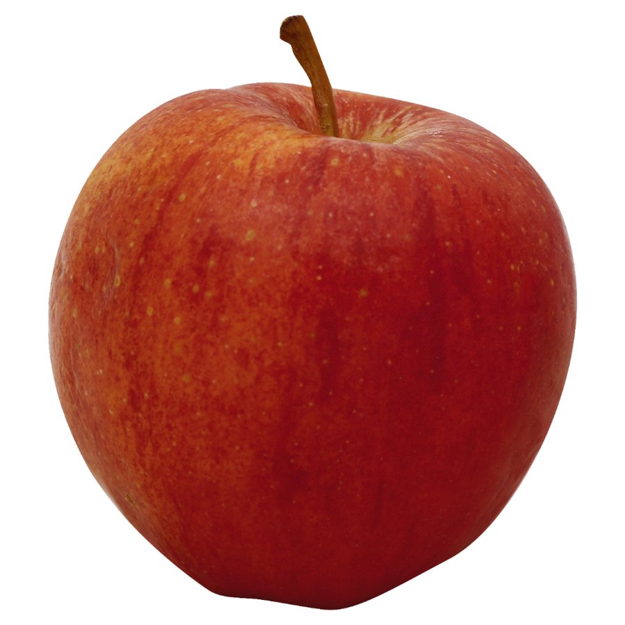 Gala Apple