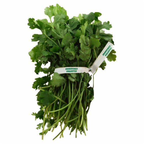 Cilantro Checked