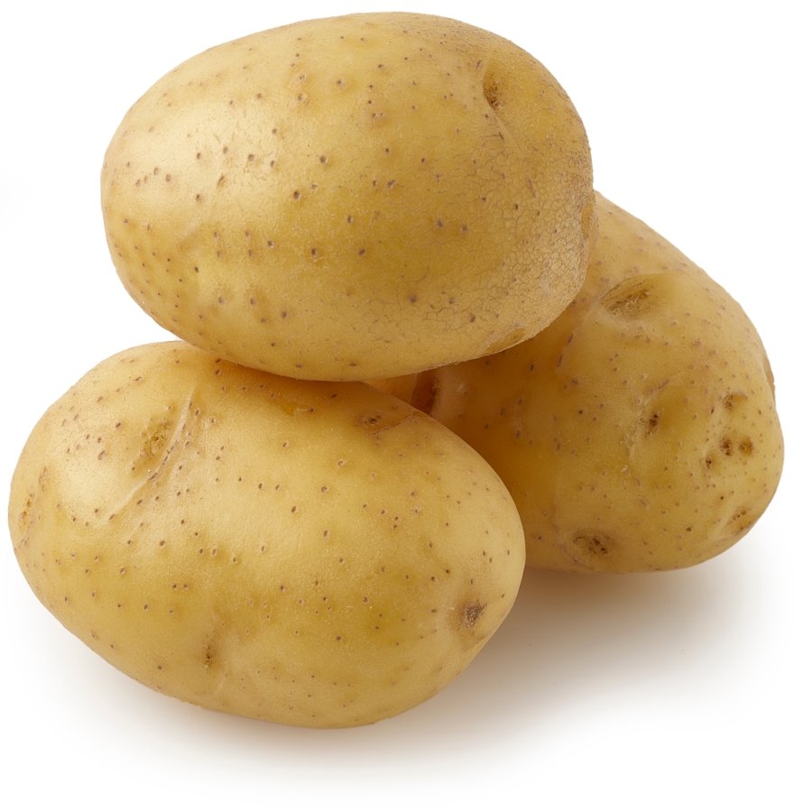 Yellow Petite Idaho