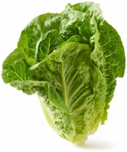 Romaine