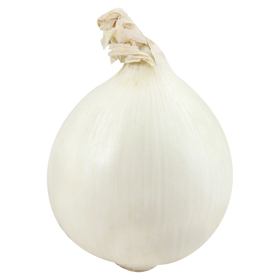 Onion White