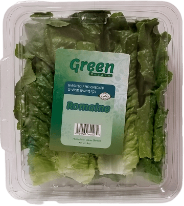 Romaine Lettuce