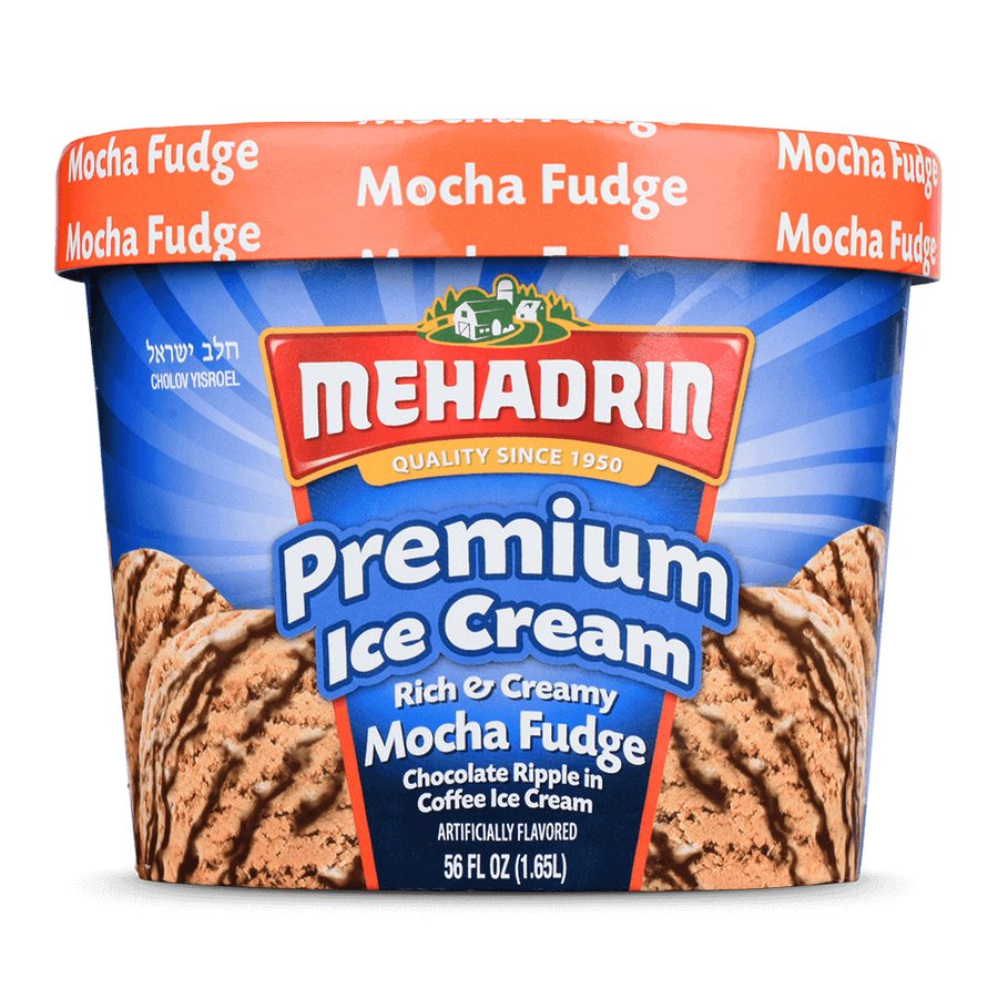 Mocha Fudge Ice Cream