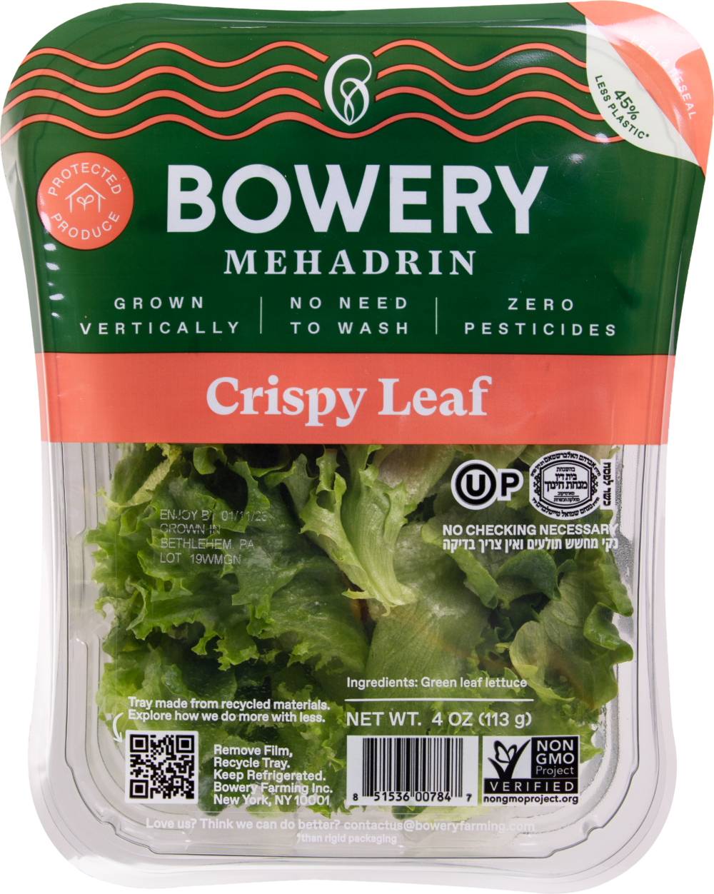 Crispy Leaf Lettuce