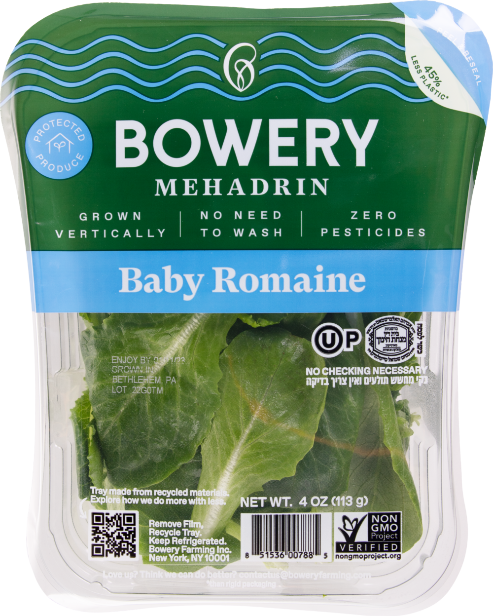 Baby Romaine Lettuce
