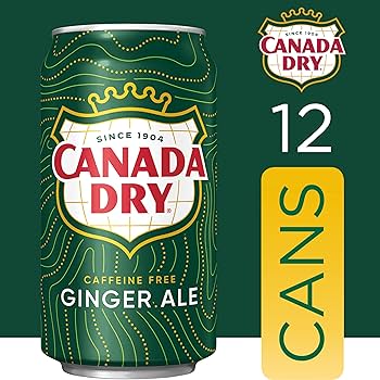 Ginger Ale 12pk Cans