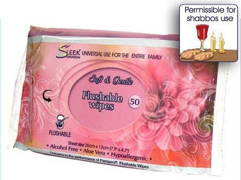 Flushable Wipes Shabbos